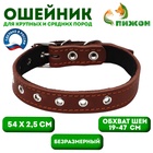 Ошейник кожаный на синтепоне, безразмерный, 54 х 2,5 см, ОШ 19-47 см, коричневый - Фото 1