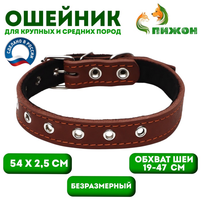 Ошейник кожаный на синтепоне, безразмерный, 54 х 2,5 см, ОШ 19-47 см, коричневый - Фото 1