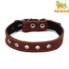 Ошейник кожаный на синтепоне, безразмерный, 54 х 2,5 см, ОШ 19-47 см, коричневый - Фото 2