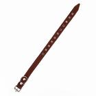 Ошейник кожаный на синтепоне, безразмерный, 54 х 2,5 см, ОШ 19-47 см, коричневый - Фото 3