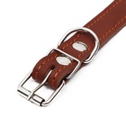 Ошейник кожаный на синтепоне, безразмерный, 54 х 2,5 см, ОШ 19-47 см, коричневый - Фото 5