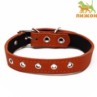 Ошейник кожаный на синтепоне, безразмерный, 54 х 2,5 см, ОШ 19-47 см, оранжевый - Фото 2