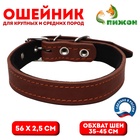 Ошейник кожаный на синтепоне, 56×2.5 см, ОШ 35-45 см, коричневый - Фото 1