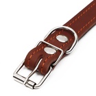 Ошейник кожаный на синтепоне, 56×2.5 см, ОШ 35-45 см, коричневый - Фото 5