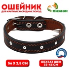 Ошейник «Строгий шип», 56×2.5 см, ОШ 35-45 см, кожа, чёрный - Фото 1