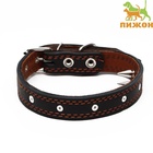 Ошейник «Строгий шип», 56×2.5 см, ОШ 35-45 см, кожа, чёрный - Фото 2