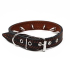 Ошейник «Строгий шип», 56×2.5 см, ОШ 35-45 см, кожа, чёрный - Фото 3