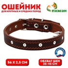 Ошейник кожаный «Строгий шип», 56×2.5 см, ОШ 35-45 см, коричневый - Фото 1