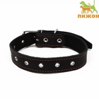 Ошейник безразмерный, 71×3.5 см, ОШ 29-62 см, на синтепоне, кожа, чёрный - Фото 2