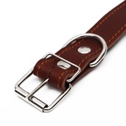 Ошейник кожаный на синтепоне, безразмерный, 71×3.5 см, ОШ 29-62 см, коричневый - Фото 5