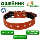 Ошейник кожаный на синтепоне, безразмерный, 71 х 3,5 см, ОШ 29-62 см, оранжевый - Фото 1