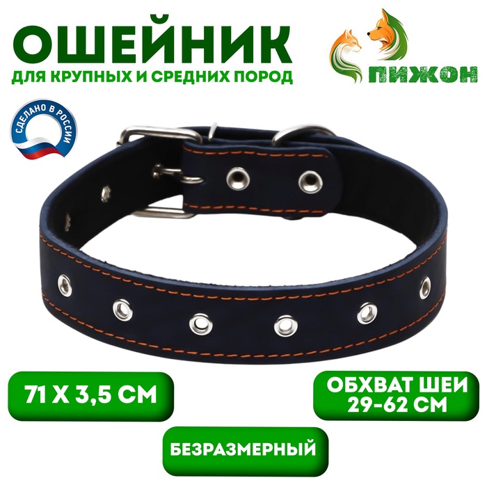 Ошейник кожаный на синтепоне, безразмерный, 71 х 3,5 см, ОШ 29-62 см, синий - Фото 1