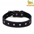 Ошейник кожаный на синтепоне, безразмерный, 71 х 3,5 см, ОШ 29-62 см, синий - Фото 2