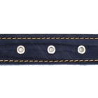 Ошейник кожаный на синтепоне, безразмерный, 71 х 3,5 см, ОШ 29-62 см, синий - фото 7770328