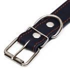 Ошейник кожаный на синтепоне, безразмерный, 71 х 3,5 см, ОШ 29-62 см, синий - Фото 5