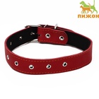 Ошейник кожаный на синтепоне, безразмерный, 71 х 3,5 см, ОШ 29-62 см, красный - Фото 2