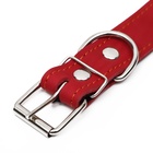 Ошейник кожаный на синтепоне, безразмерный, 71 х 3,5 см, ОШ 29-62 см, красный - Фото 5