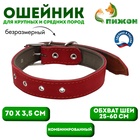 Ошейник комбинированный кожа/брезент, безразмерный, 70 х 3,5 см, ОШ 25-60 см, красный - Фото 1