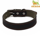 Ошейник комбинированный кожа/брезент, 69×3.5 см, ОШ 45-60 см, чёрный - Фото 2