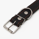 Ошейник комбинированный кожа/брезент, 69×3.5 см, ОШ 45-60 см, чёрный - Фото 5