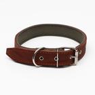 Ошейник комбинированный кожа/брезент, 69 х 3,5 см, ОШ 45-60 см, коричневый - Фото 2