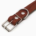 Ошейник комбинированный кожа/брезент, 69 х 3,5 см, ОШ 45-60 см, коричневый - Фото 4