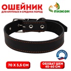 Ошейник кожаный на синтепоне, 70×3.5 см, ОШ 45-60 см, чёрный - Фото 1