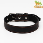 Ошейник кожаный на синтепоне, 70×3.5 см, ОШ 45-60 см, чёрный - Фото 2