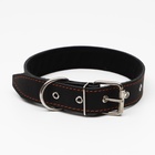 Ошейник кожаный на синтепоне, 70×3.5 см, ОШ 45-60 см, чёрный - Фото 3