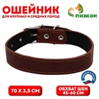 Ошейник кожаный на синтепоне, 70 х 3,5 см, ОШ 45-60 см, коричневый - Фото 1
