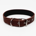 Ошейник кожаный на синтепоне, 70 х 3,5 см, ОШ 45-60 см, коричневый - Фото 3