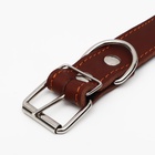 Ошейник кожаный на синтепоне, 70 х 3,5 см, ОШ 45-60 см, коричневый - Фото 5