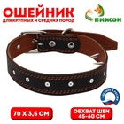 Ошейник кожаный «Строгий шип», 70×3.5 см, ОШ 45-60 см, чёрный - Фото 1