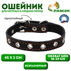 Ошейник кожаный однослойный безразмерный, 45×2 см, ОШ 18-39 см, чёрный - Фото 1