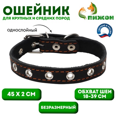 Ошейник кожаный однослойный безразмерный, 45×2 см, ОШ 18-39 см, чёрный