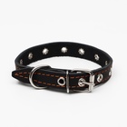 Ошейник кожаный однослойный безразмерный, 45×2 см, ОШ 18-39 см, чёрный - Фото 3