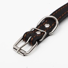 Ошейник кожаный однослойный безразмерный, 45×2 см, ОШ 18-39 см, чёрный - Фото 5