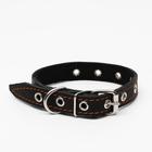 Ошейник кожаный на синтепоне, безразмерный, 45 х 2 см, ОШ 18-39 см, чёрный - Фото 2