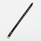 Ошейник кожаный на синтепоне, безразмерный, 45 х 2 см, ОШ 18-39 см, чёрный - Фото 3