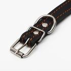 Ошейник кожаный на синтепоне, безразмерный, 45 х 2 см, ОШ 18-39 см, чёрный - Фото 4