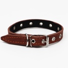 Ошейник, безразмерный, 45×2 см, ОШ 18-39 см, на синтепоне, кожа, коричневый - Фото 3