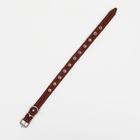 Ошейник, безразмерный, 45×2 см, ОШ 18-39 см, на синтепоне, кожа, коричневый - Фото 4