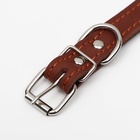 Ошейник, безразмерный, 45×2 см, ОШ 18-39 см, на синтепоне, кожа, коричневый - Фото 5