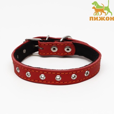 Ошейник кожаный на синтепоне, безразмерный, 45×2 см, ОШ 18-39 см, красный