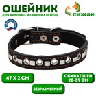 Ошейник кожаный на синтепоне украшенный, безразмерный, 47×2 см, ОШ 28-39 см, чёрный - Фото 1