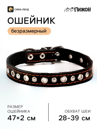 Ошейник украшенный, безразмерный, 47×2 см, ОШ 28-39 см, на синтепоне, кожа, чёрный
