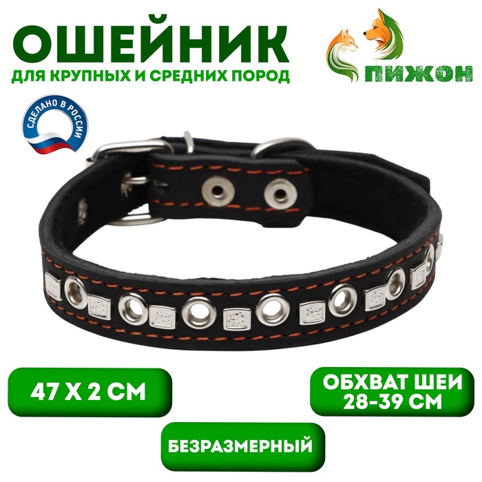 Ошейник кожаный на синтепоне украшенный, безразмерный, 47×2 см, ОШ 28-39 см, чёрный - Фото 1