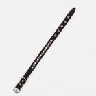 Ошейник кожаный на синтепоне украшенный, безразмерный, 47×2 см, ОШ 28-39 см, чёрный - Фото 4