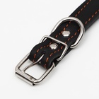 Ошейник кожаный на синтепоне украшенный, безразмерный, 47×2 см, ОШ 28-39 см, чёрный - Фото 5