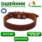 Ошейник кожаный двухслойный, 46×2 см, ОШ 25-35 см, коричневый - Фото 1